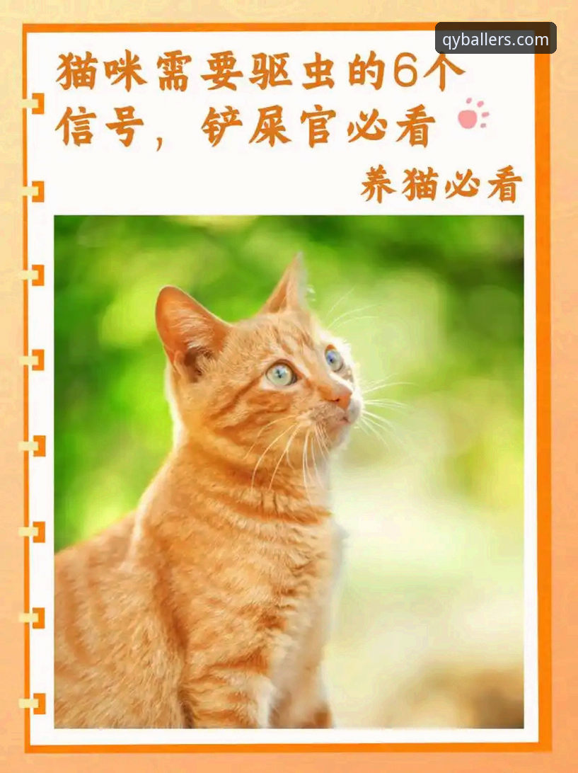 千亿球友会官网入口评测 新手必看!千亿球友会官网入口评测的5个关键步骤,快速上手专业体育投注平台